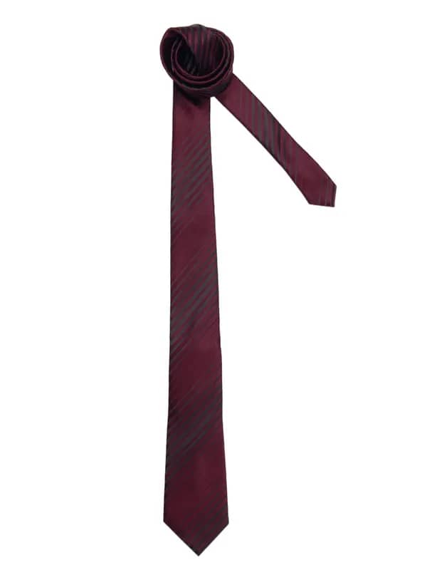 Turtle Men Stripes Burgundy Ties