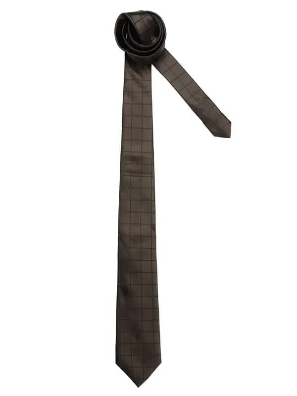 Turtle Men Check Brown Ties