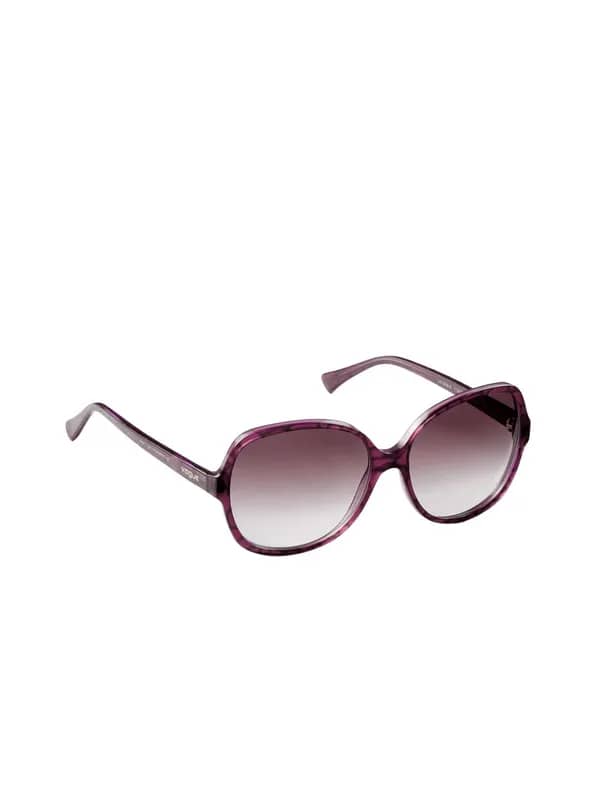 Vogue Women Purple Sunglasses