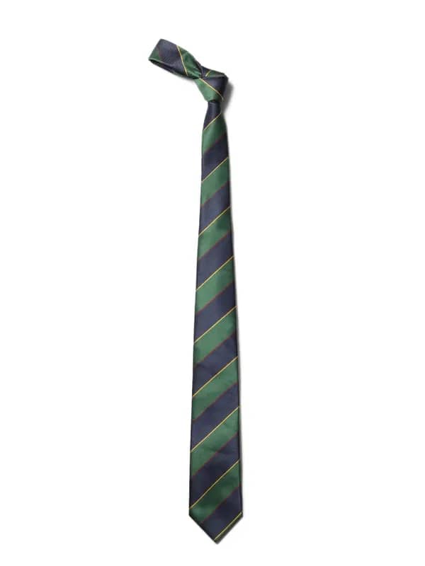 Allen Solly Men Navy Blue Tie