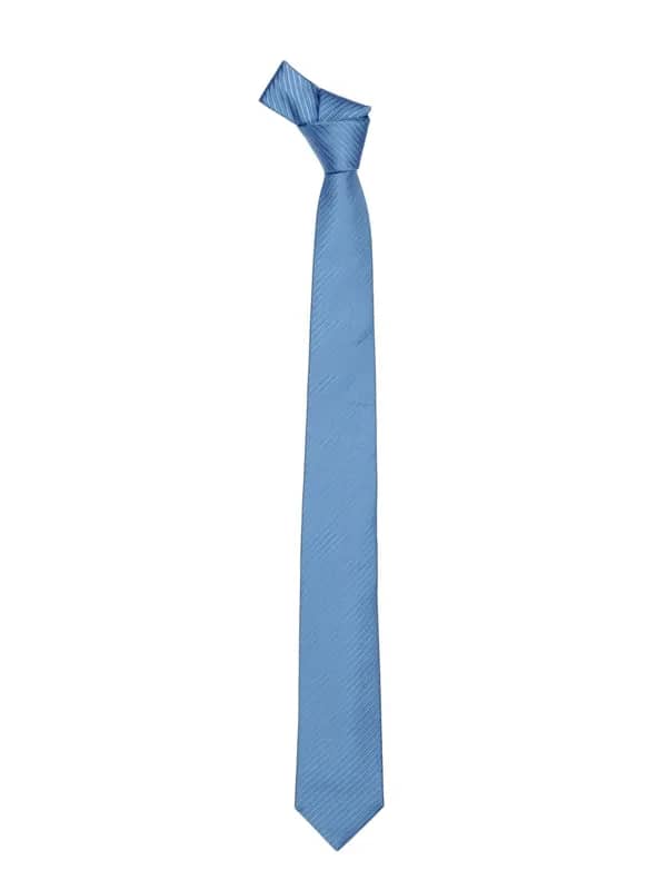 Reid & Taylor Men Blue Diagonal Striped Tie