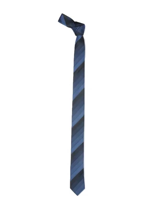 Parx Men Blue & Black Tie