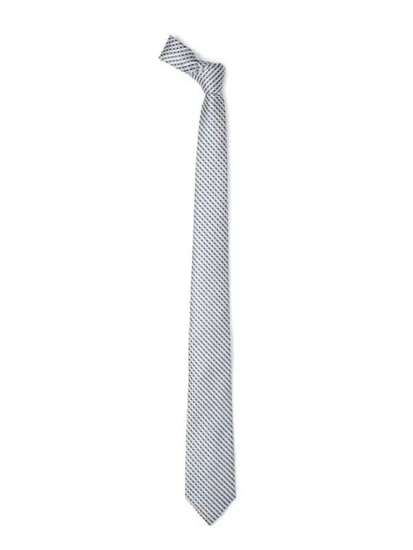 Park Avenue Men Silver Tie