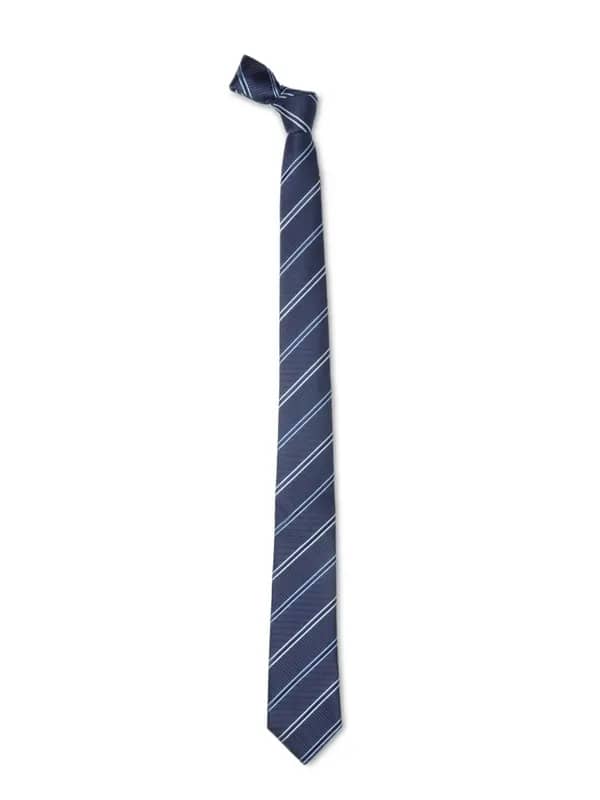Park Avenue Men Blue Tie