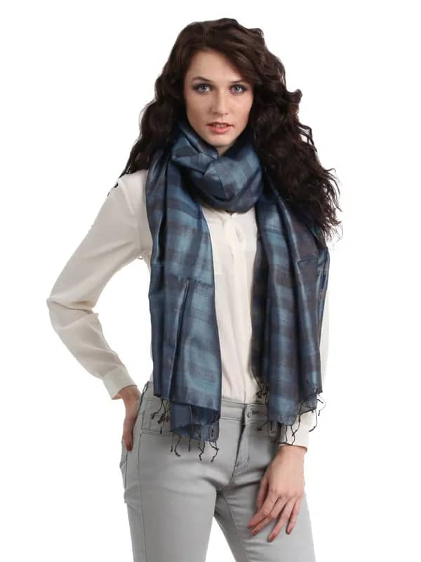Fabindia Women Blue Stole