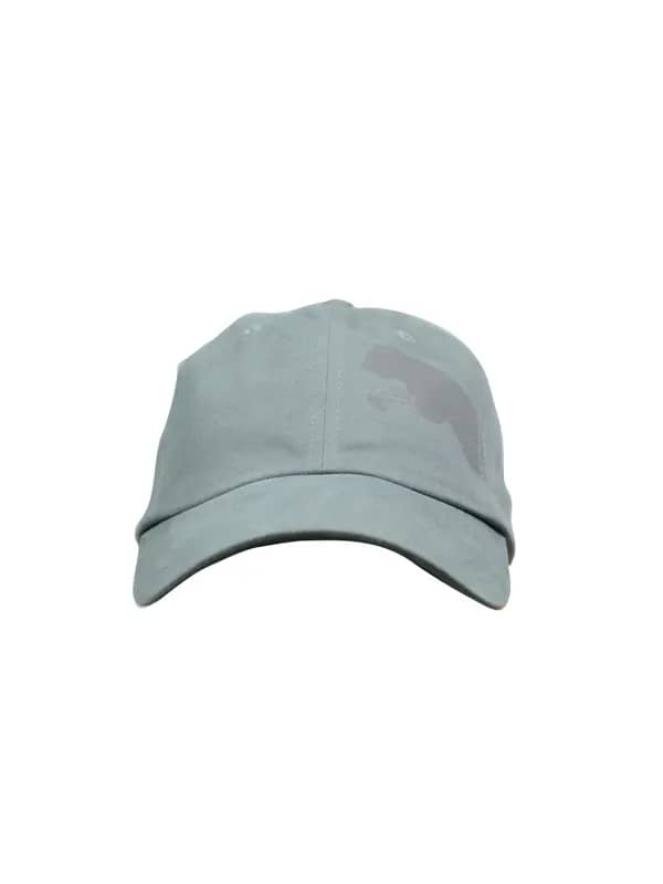 Puma Unisex Stripe Cat Steel Grey Cap