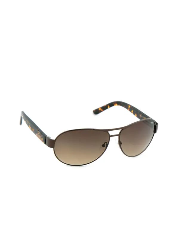 Image Men Classic Eyewear Brown Sunglasses