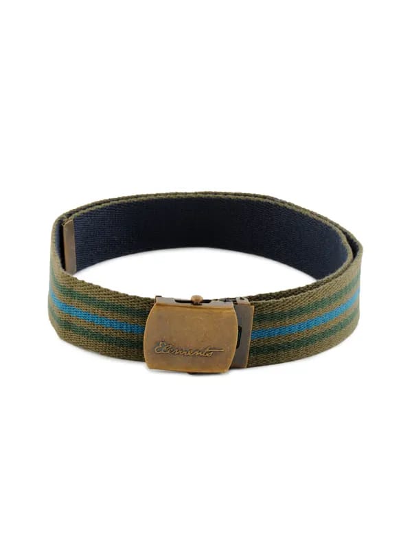 Peter England Men Casual Olive Belt