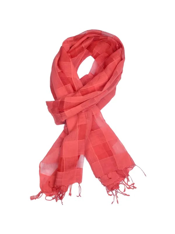 Fabindia Women Check Red Stole