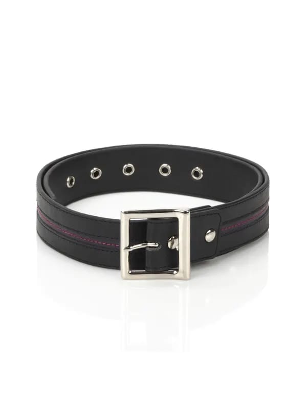 Baggit Women Rocker Taj Black Belt