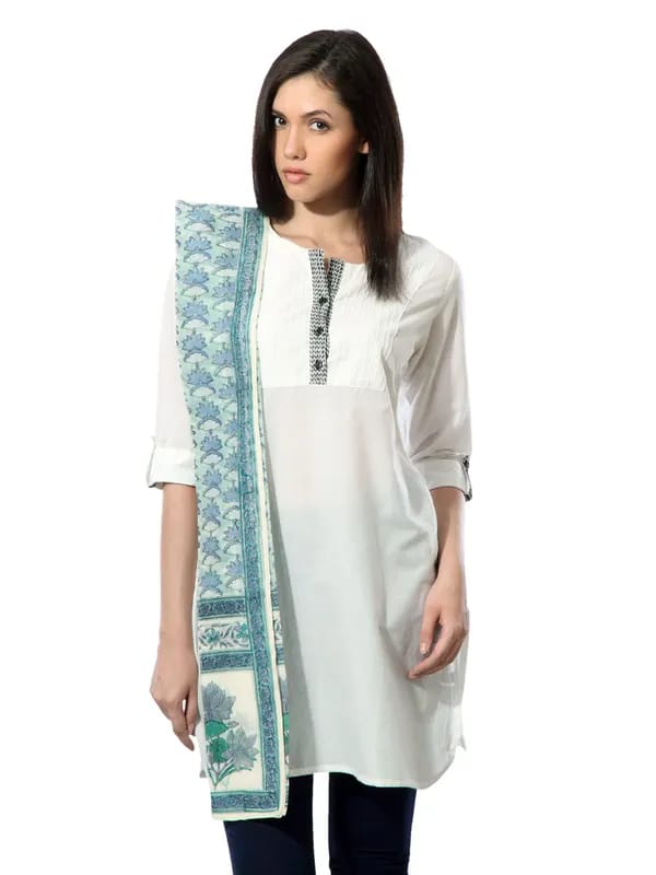 Fabindia Women Printed Blue Chanderi Stole