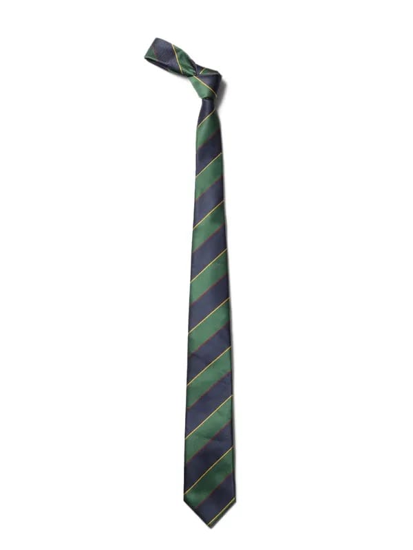 Allen Solly Men Navy Blue Tie
