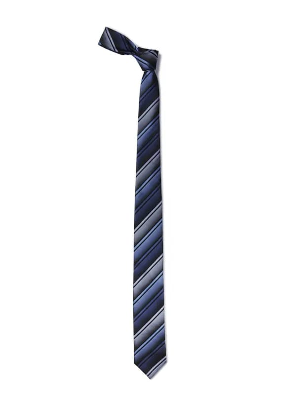 Reid & Taylor Men Blue Tie