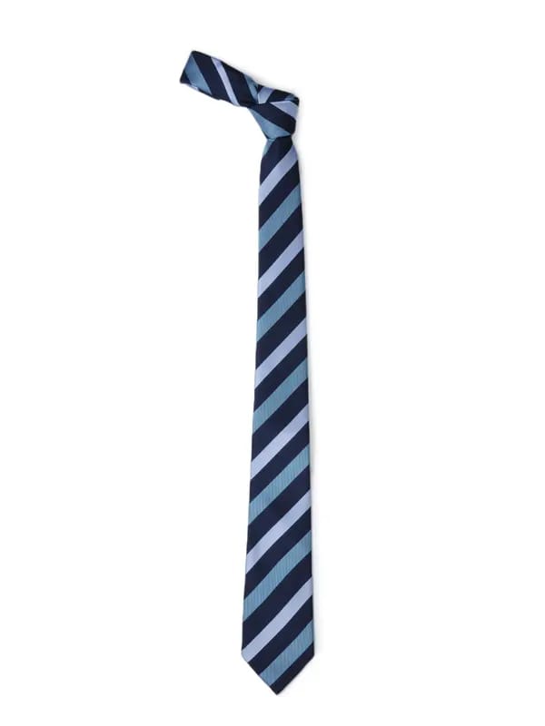 Park Avenue Men Blue Tie