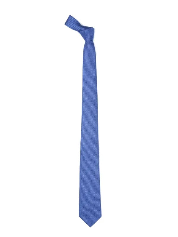 Park Avenue Men Blue Tie