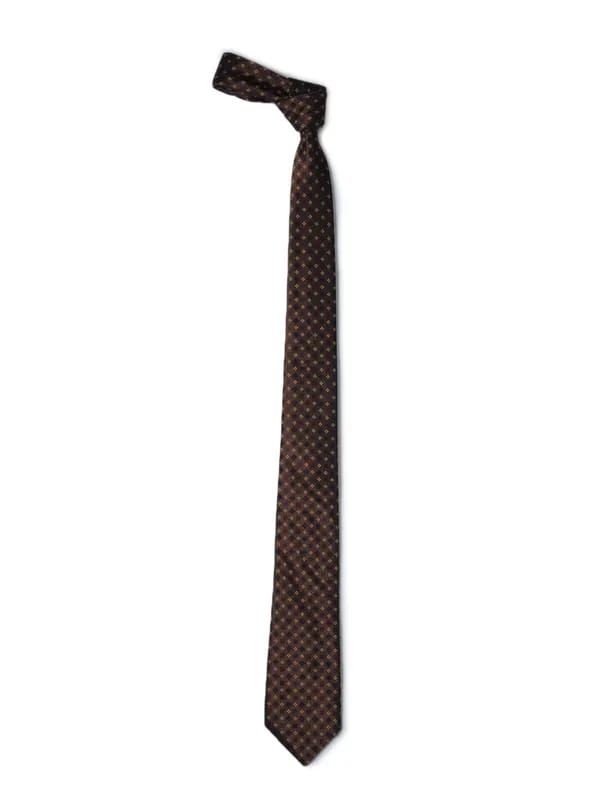 Park Avenue Men Brown Tie