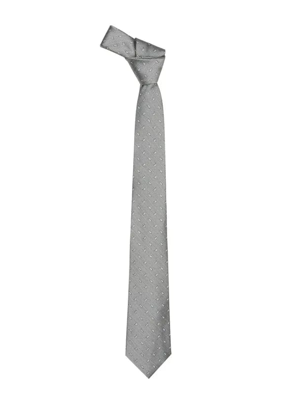 Park Avenue Men Grey Tie