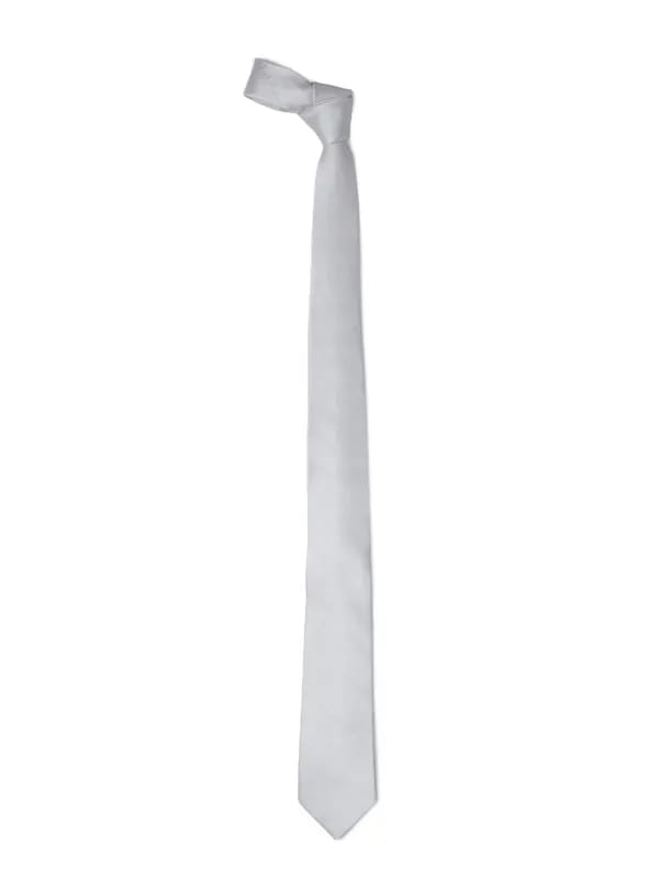 Park Avenue Men Grey Tie