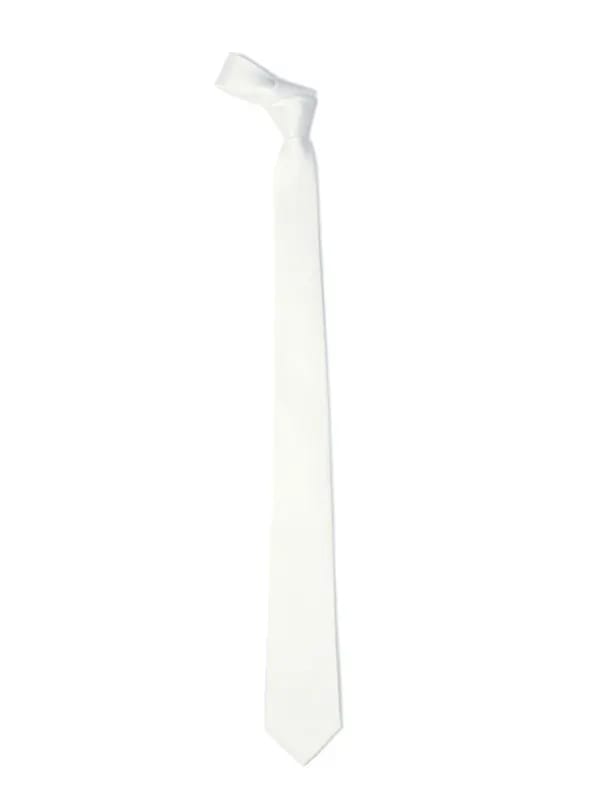 Park Avenue Men White Tie