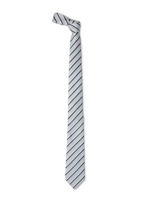 Park Avenue Men Grey Tie