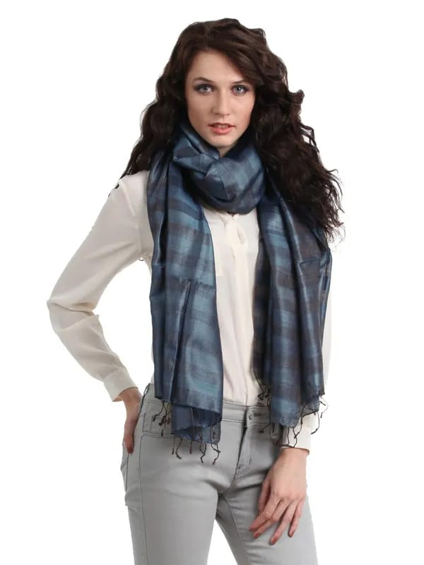 Fabindia Women Blue Stole