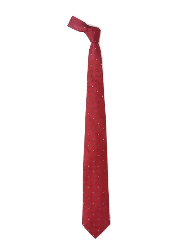 Hakashi Men Red Tie
