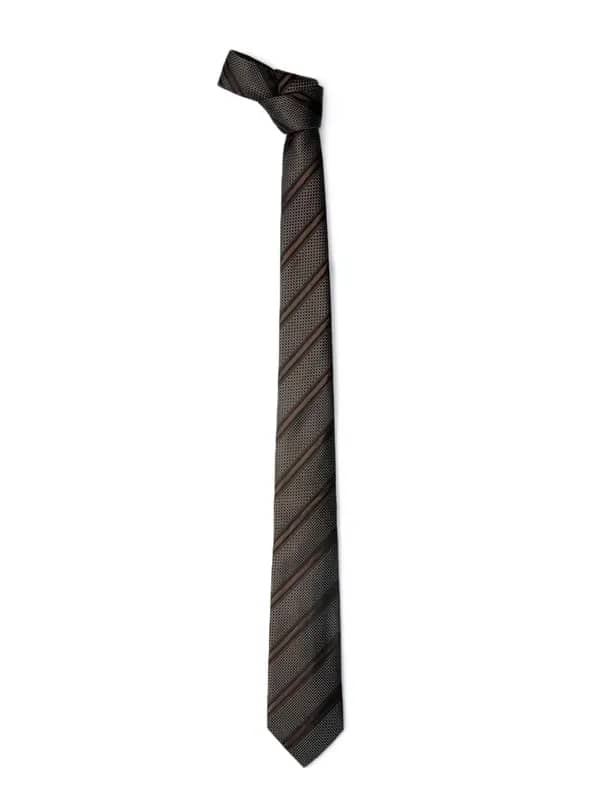 Park Avenue Men Brown Tie
